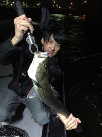 シーマジカル 釣果