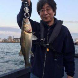 シーマジカル 釣果