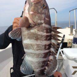 Blue.win 海人丸 釣果