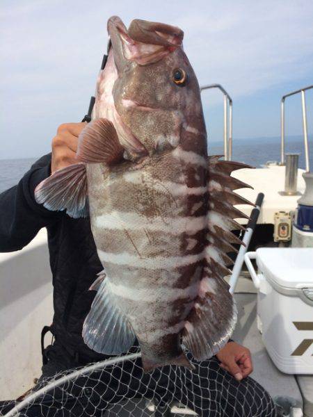 Blue.win 海人丸 釣果