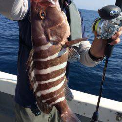 Blue.win 海人丸 釣果