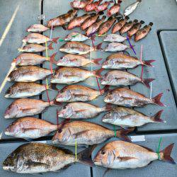 さんさん丸 釣果