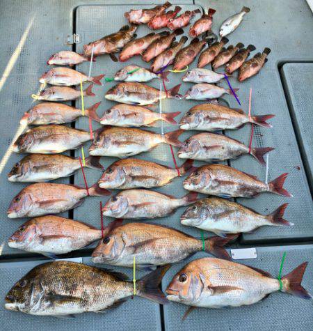 さんさん丸 釣果