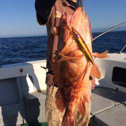 Blue.win 海人丸 釣果