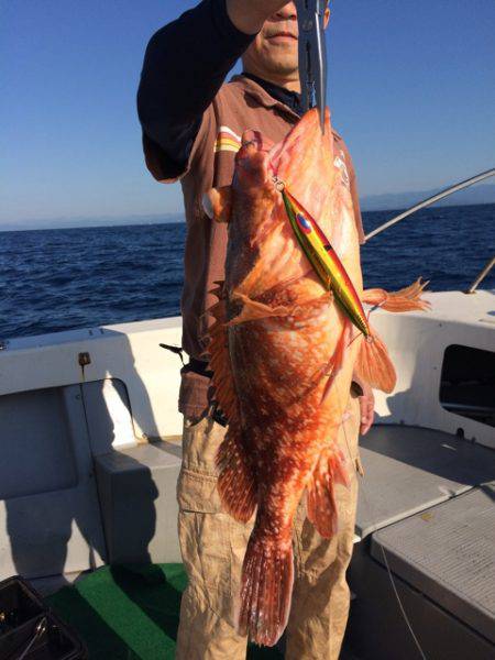 Blue.win 海人丸 釣果