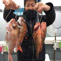 さんさん丸 釣果