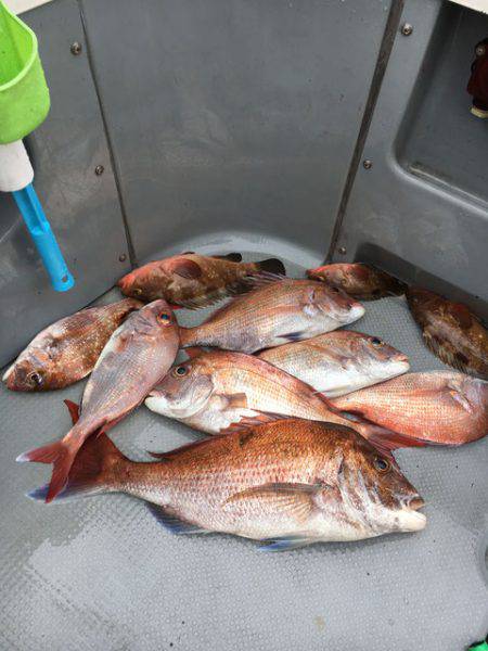 さんさん丸 釣果
