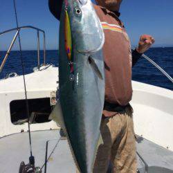 Blue.win 海人丸 釣果