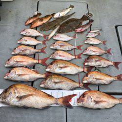 さんさん丸 釣果