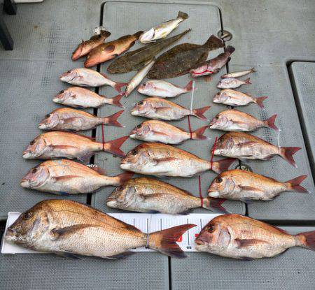 さんさん丸 釣果