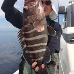 Blue.win 海人丸 釣果