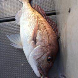 Blue.win 海人丸 釣果