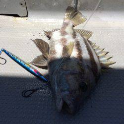 Blue.win 海人丸 釣果