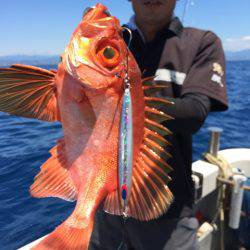 Blue.win 海人丸 釣果