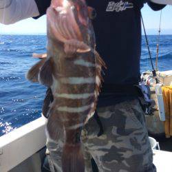 Blue.win 海人丸 釣果