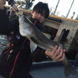 シーマジカル 釣果