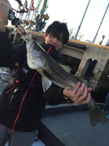 シーマジカル 釣果