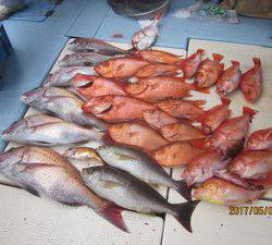 第十八吉栄丸 釣果