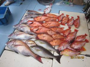 第十八吉栄丸 釣果