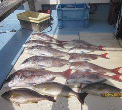 第十八吉栄丸 釣果