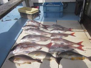 第十八吉栄丸 釣果