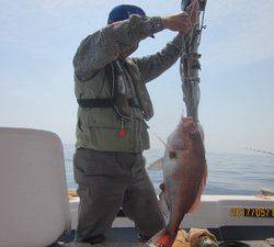 第十八吉栄丸 釣果