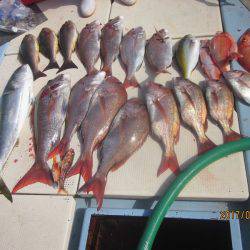 第十八吉栄丸 釣果