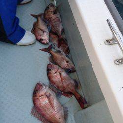 遊漁船ブルーウッズ 釣果