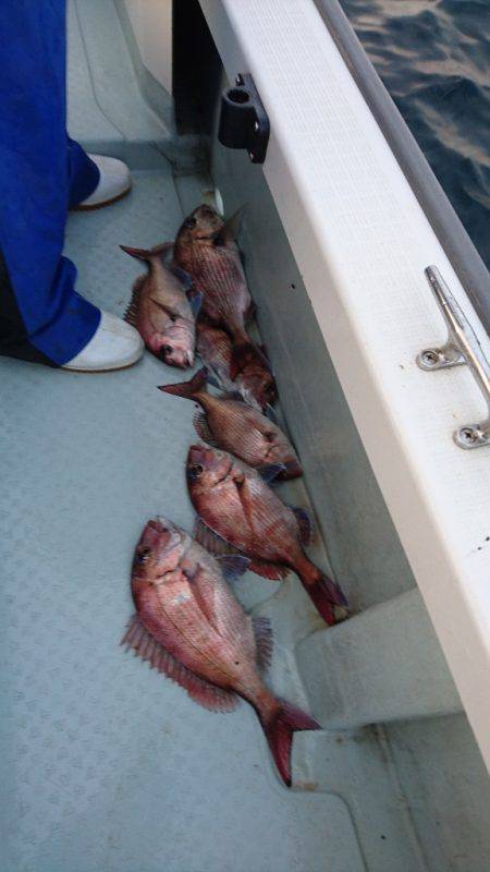 遊漁船ブルーウッズ 釣果