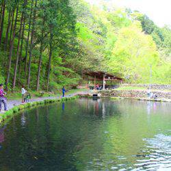 小菅トラウトガーデン 釣果