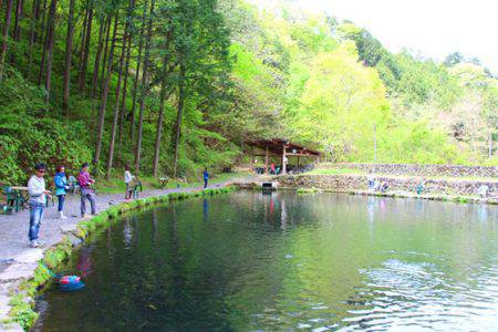 小菅トラウトガーデン 釣果