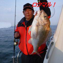 遊漁船 幸友丸 釣果