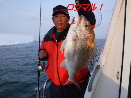 遊漁船 幸友丸 釣果