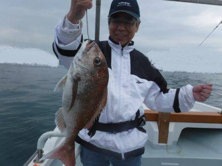 遊漁船 幸友丸 釣果