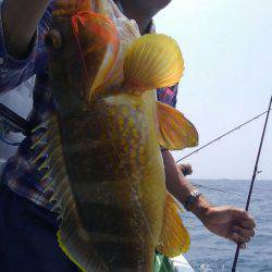 遊漁船 新鋭丸 釣果