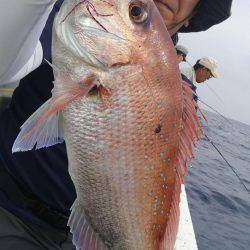 遊漁船 新鋭丸 釣果