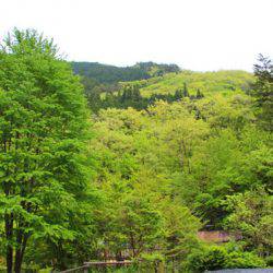 小菅トラウトガーデン 釣果