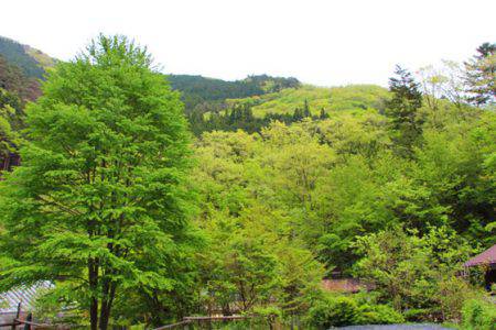 小菅トラウトガーデン 釣果