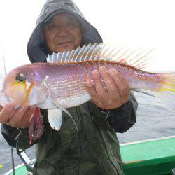 真祐丸 (しんゆうまる) 釣果