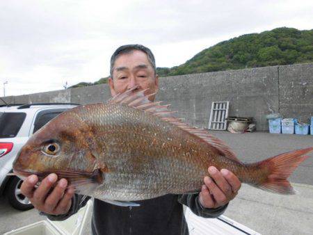 大進丸（新潟） 釣果