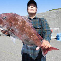 大進丸(新潟) 釣果