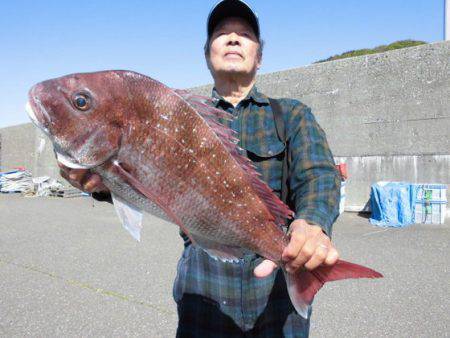 大進丸（新潟） 釣果