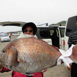大進丸（新潟） 釣果