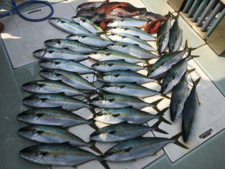 ふじしめ丸 釣果