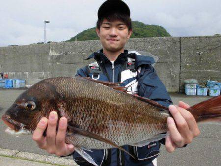 大進丸(新潟) 釣果