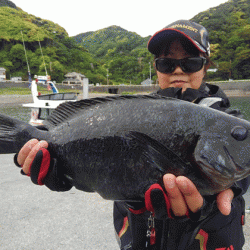 宮島丸 釣果