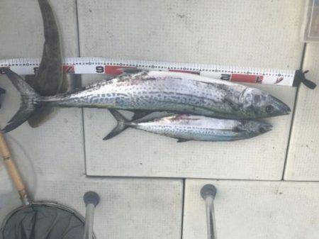 フィッシングガイド りょう 釣果