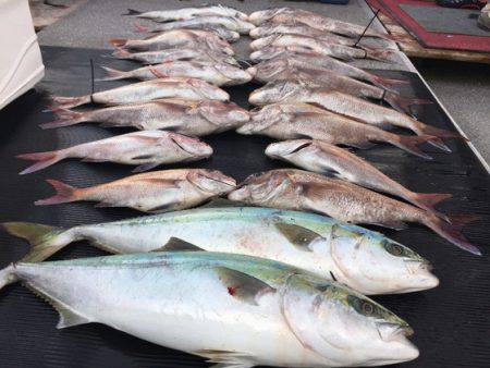 幸風（さちかぜ） 釣果