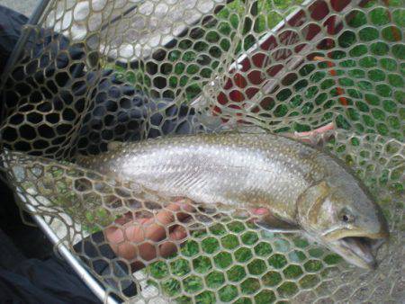 高萩ふれあいの里フィッシングエリア 釣果