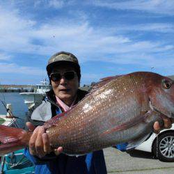 大進丸(新潟) 釣果